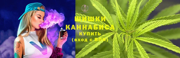 сатива Зеленокумск
