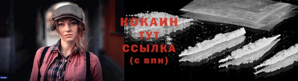 сатива Зеленокумск