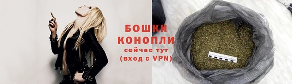 сатива Зеленокумск