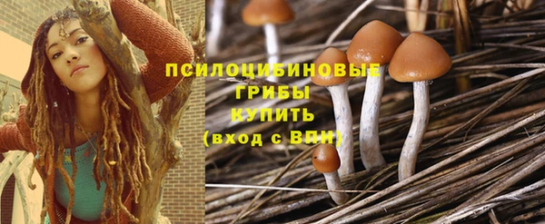 сатива Зеленокумск